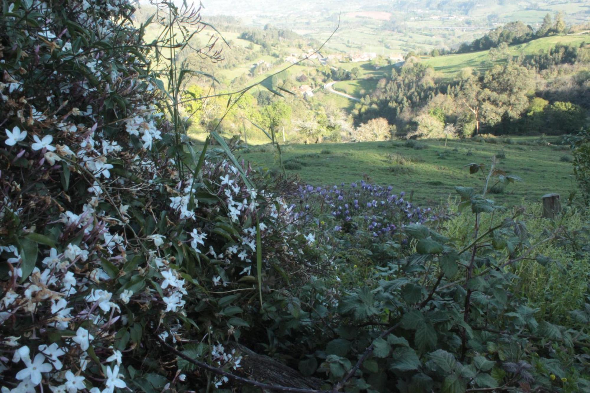 Alojamientos Rurales Pena Crespa Tresvilla ภายนอก รูปภาพ